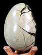 Septarian Dragon Egg Geode - Black Crystals #40904-4